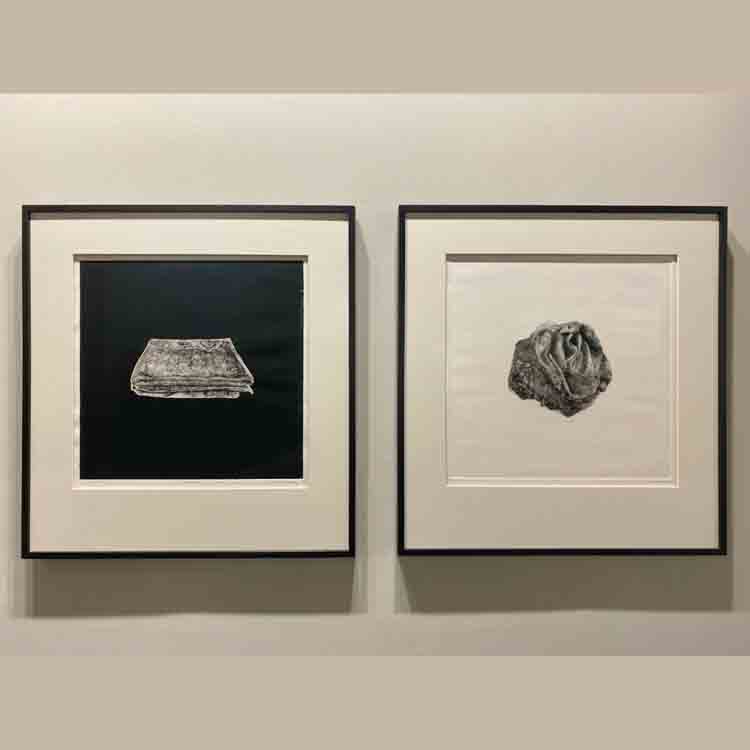 Ardor I & II, 2024